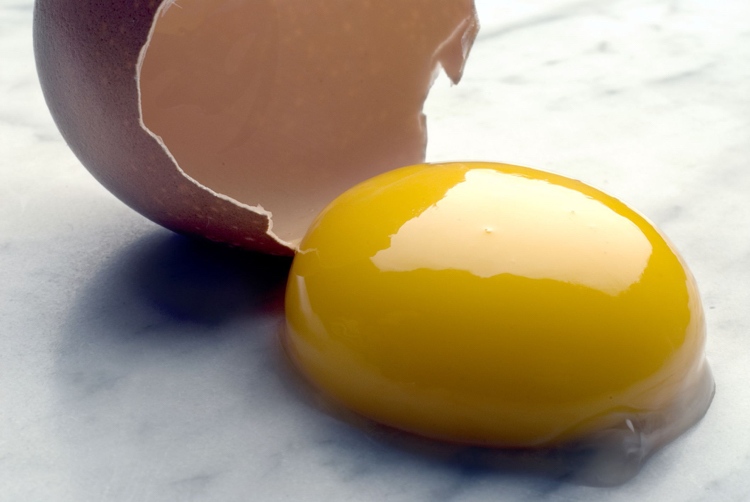 Äggersättning-höna ägg-intolerans-intolerans-äggula-protein