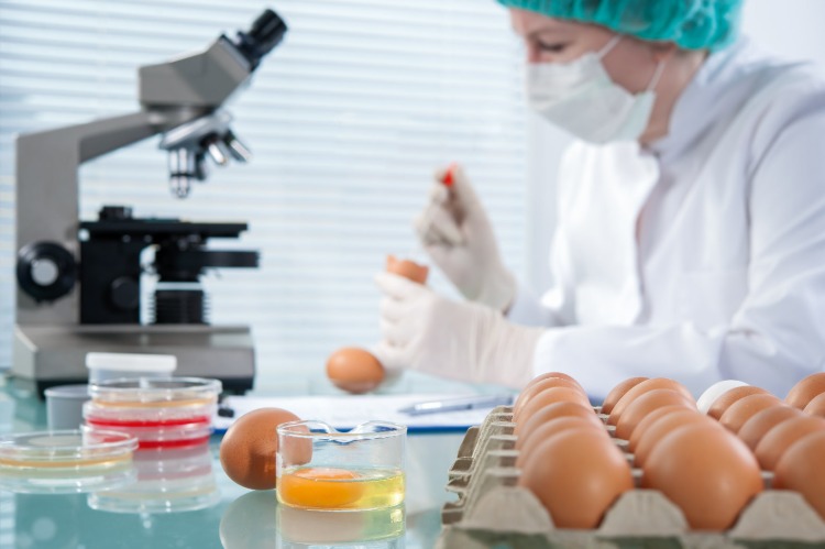 Labtekniker undersöker innehållet i ägg