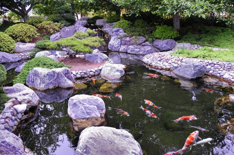 japansk-trädgård-design-koi-sten-idé-element