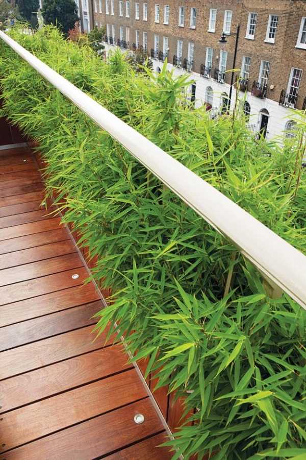takterrass i trädgården med modern bambu