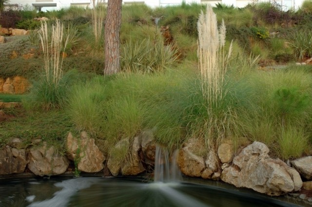 Trädgårdsdesign med vattenfallströmmar övervuxna med cattails