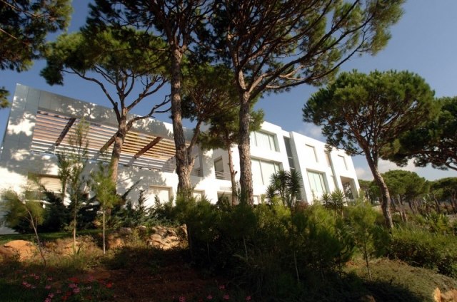 modern villa byggd i tallskogsträdgårdsdesignprojektet libanon