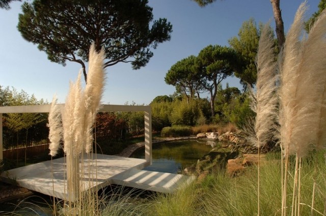tradition möter modern trädgårdsdesign exotisk med vattenväxter