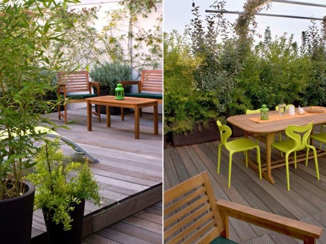 form trägolv bord vintergröna växter stolar