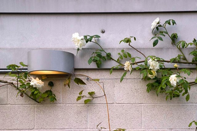 Design takterrass idéer integritetsskydd rosor vita blommor
