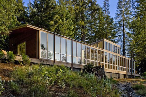 modern husarkitektur - en fastighet i skogen