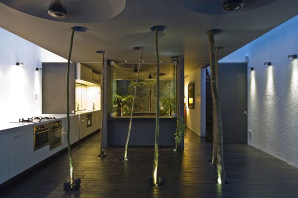 inomhus trädgård i singapoor modern design kök