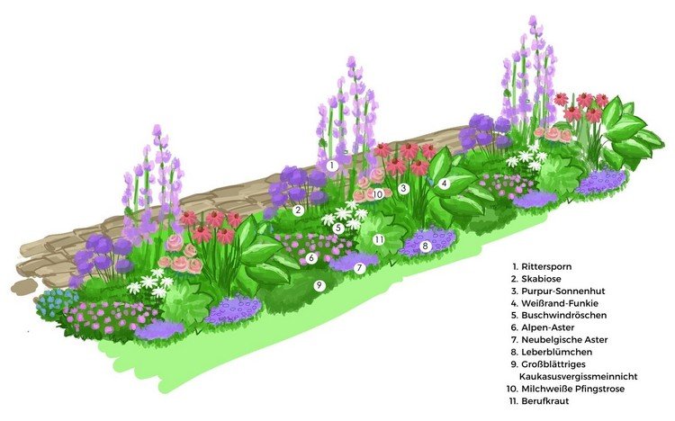 Planteringsplan för en smal säng med fleråriga blommor