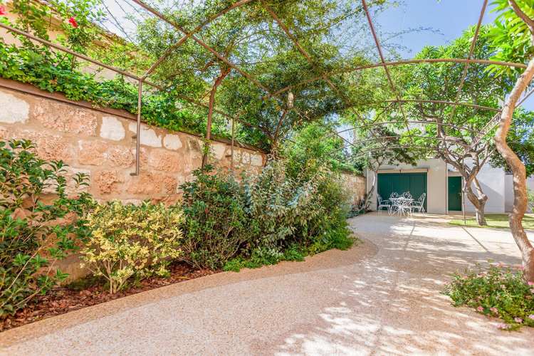 Medelhavet-trädgård-design-växter-buskar-träd-pergola-metall-konstruktion
