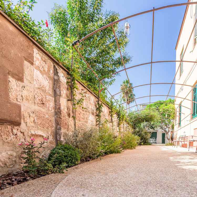 Medelhavet trädgård design-vägg-grus-klättring växter-metall pergola