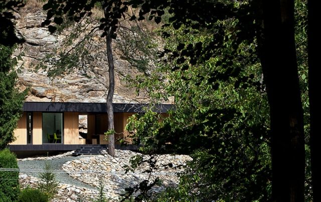 modernt hus i skogsbrottet minimalistisk envåning