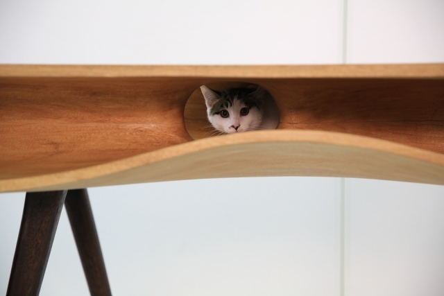 design trä matbord ruan hao katter roliga hyllor luckor