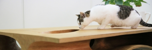 design träbord ruan hao utkast nyfiken katt