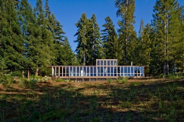 modernt hus i skogen stort glasfönster fram