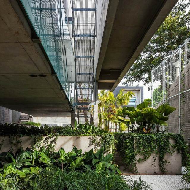 minimalistisk arkitektur trädgård exotiska växter