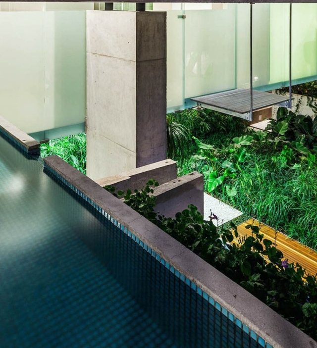 modern betongpool frodiga exotiska växter