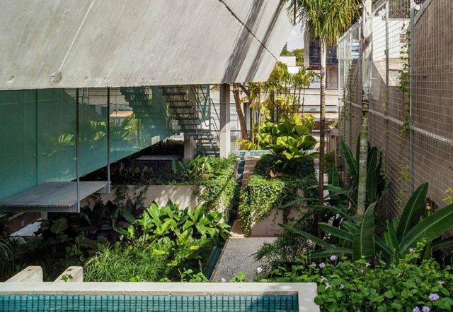 modern minimalistisk arkitektur vintergröna växter pool trädgård