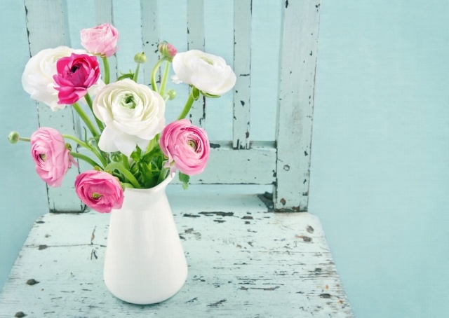 snittblommor vårkanna ranunculus vitrosa