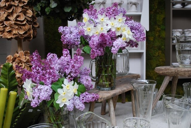 vår lila bukett påsklilja glasvaser deco snittblommor