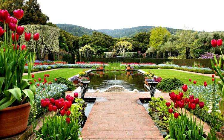 vacker trädgård friska-växter-trädgårdsarbete-tips-tulpan-pool-damm