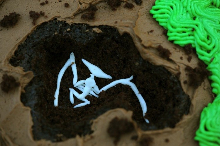 Gör din egen dinosauriekaka fossil marshmallow fondant