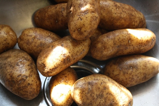 Halgskalad-idé-potatis-hög-brun