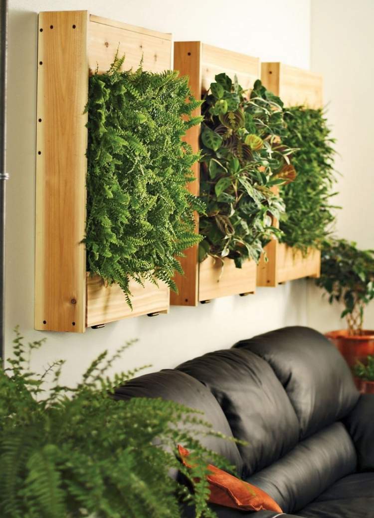 vertikal-trädgård-vardagsrum-läder-soffa-svart-trä-konstruktion-ormbunke-växter-grönt