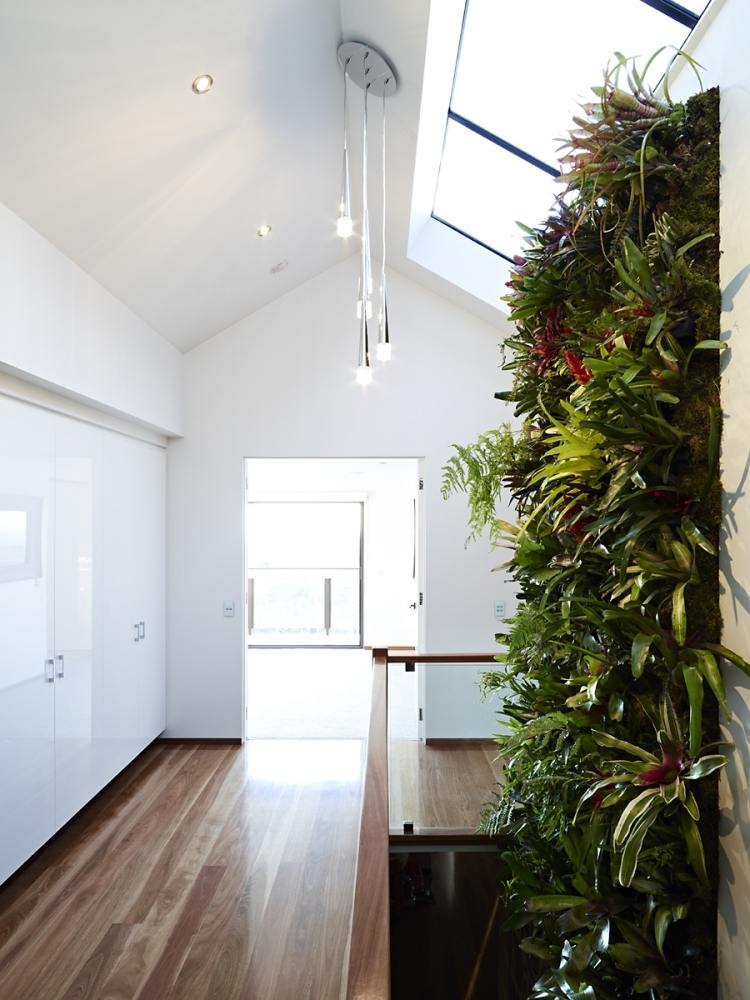 vertikal-trädgård + trappa-korridor-modern-glasräcke-trä räcke-takfönster-hängande lampor-inbyggda skåp