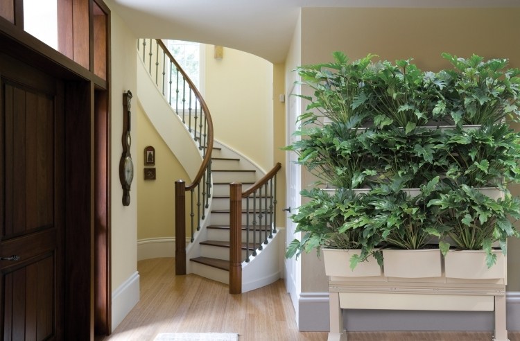 vertikal-trädgård-trappa-ytterdörr-trä-vägg-måla-beige-växter-hall-ljus