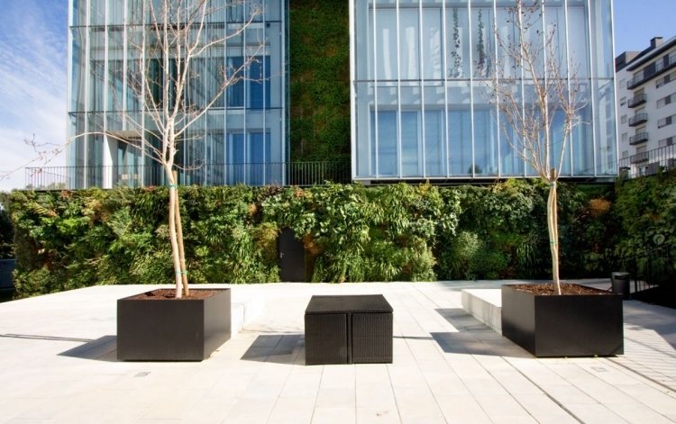 vertikal-trädgård-utomhus-takterrass-växt-krukor-träd-svarta-moduler-moderna