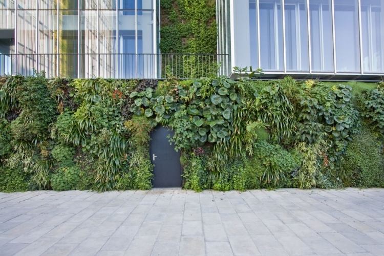 vertikal-trädgård-utomhus-byggnad-fasad-dörr-staket-planterade
