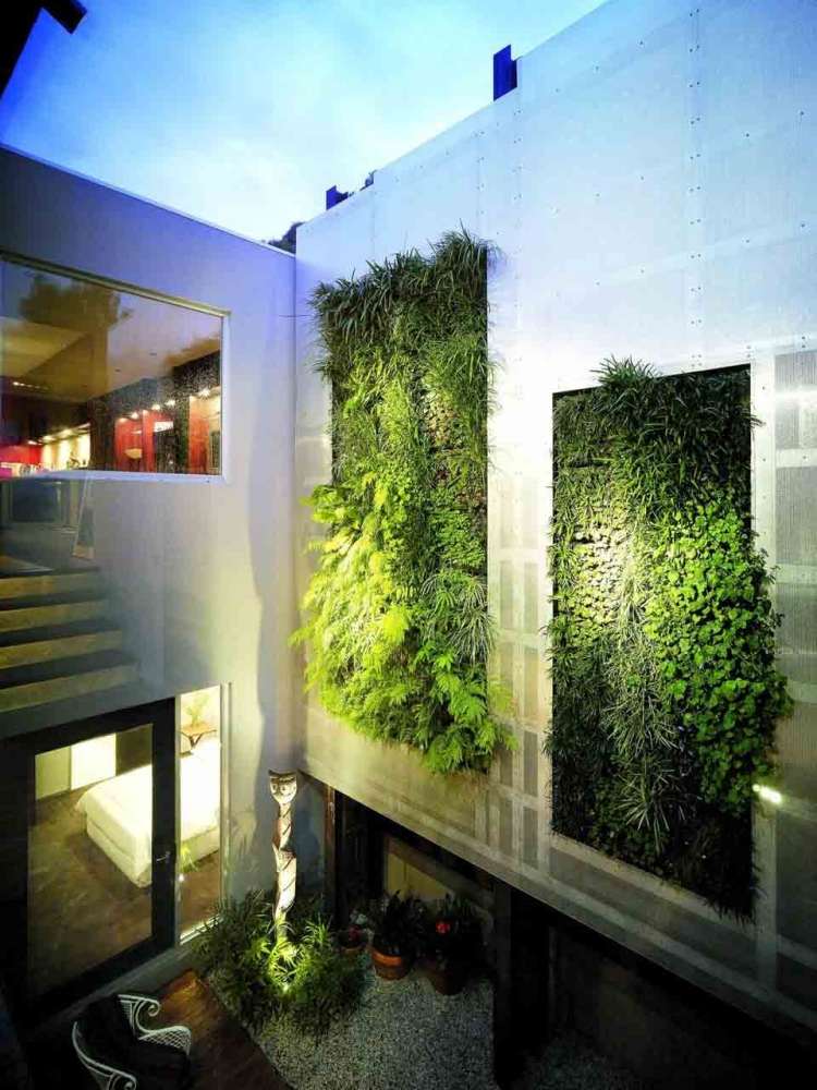 vertikal-trädgård-utomhus-inomhus-trädgård-vägg-byggnad-fönster-betong-modern-arkitektur
