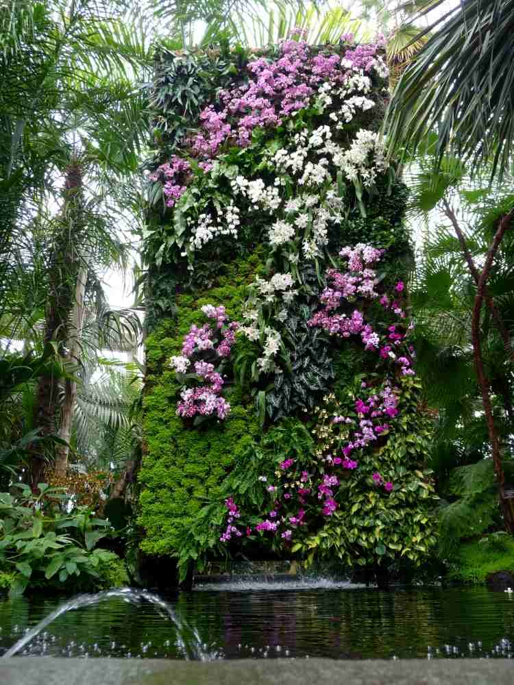 vertikal-trädgård-utomhus-fantastisk-blomma-växter-tropiska-exotiska