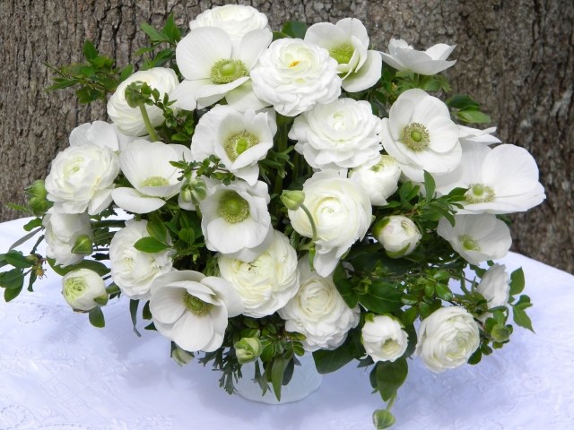 vit-anemon-bröllop-dekoration-idé-gör-det-själv