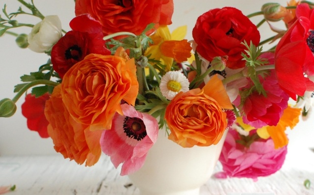 chic-table-dekoration-anemone-orange-rosor