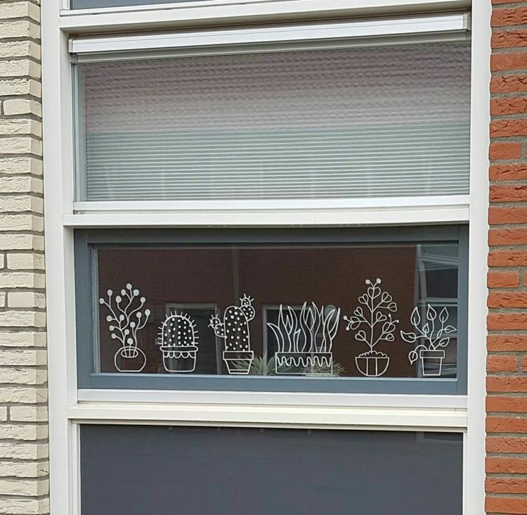 Rita kaktusar och andra växter på fönstren