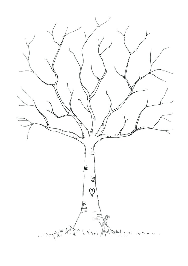 Ett naket träd som en mall för att anpassa kronan med en krita markör