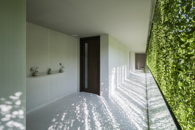 Den gröna fasaden på växter skapar ett intressant spel av ljus och skugga inuti