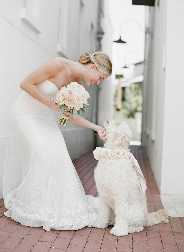 Bröllop med hund elegant-brud-hals-ros-krans-brudbukett