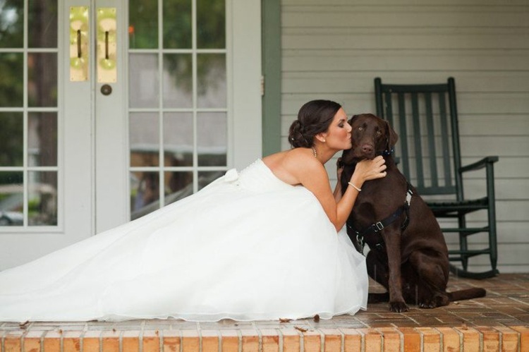 bröllop-hund-brun-labrador-veranda-brud-kyss