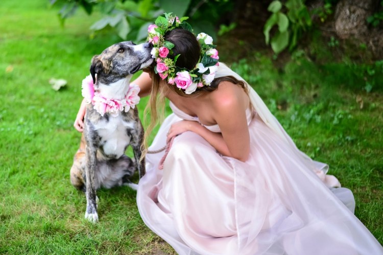 bröllop-hund-romantisk-blommor-rosa-ros-klockor-krans-idé