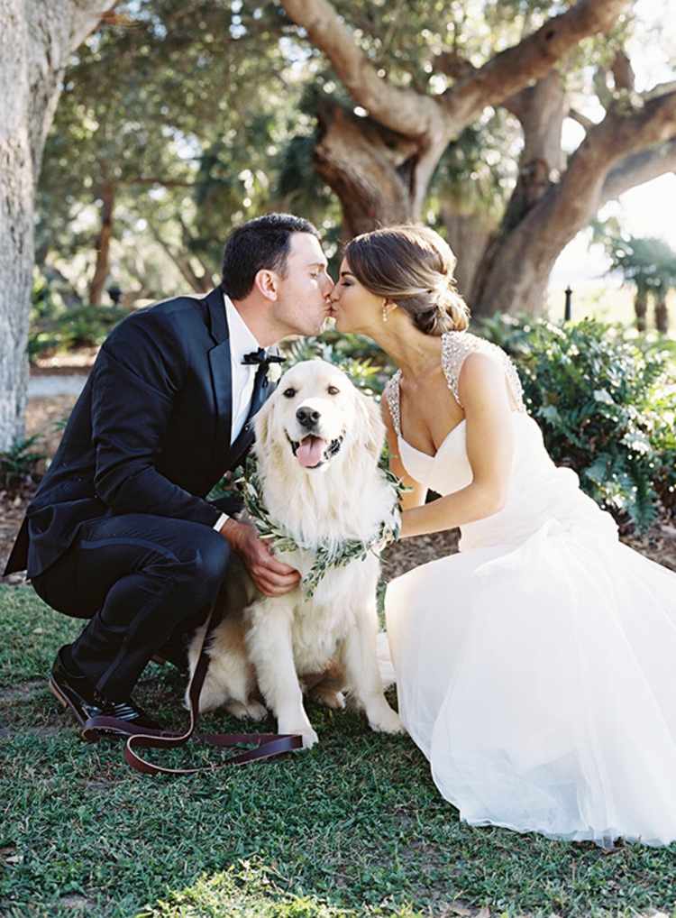 bröllop-hund-kärlek-familj-vän-planering-tips
