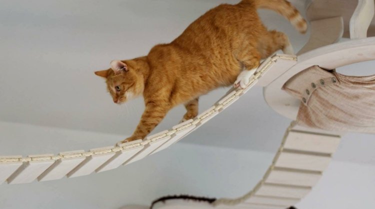 tak catwalk för katter hängbro trä sisal rep