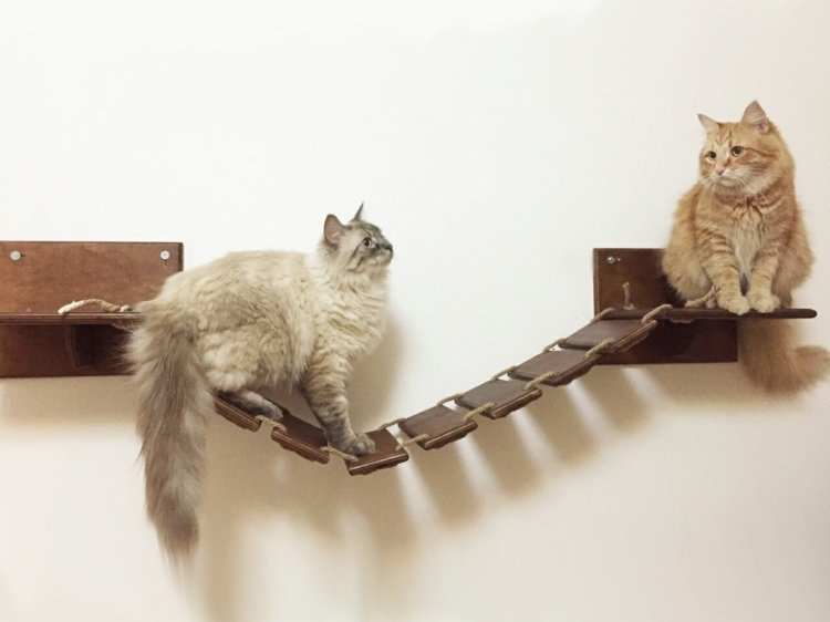 catwalk katter hängbro väggfäste sisal rep husdjur underhållning