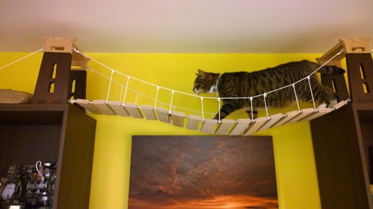 catwalk hängbro för katter träbro länkar