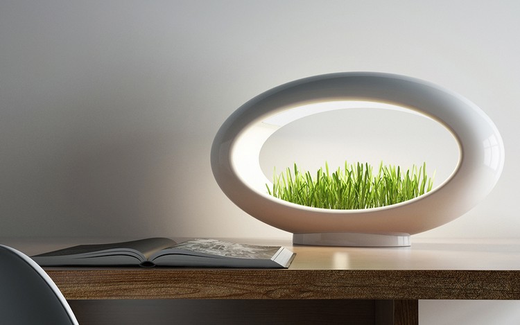LED-bordslampa mini-trädgård-vete-gräsplantering