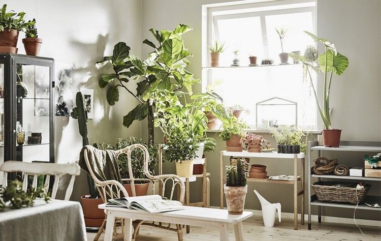 Rumshörn med växter skapar idéer för inomhusväxter i vardagsrummet