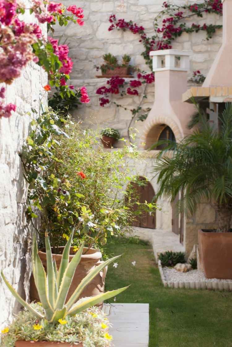 Medelhavet trädgård design neutral-färger-vägg-sten-vit-aloe