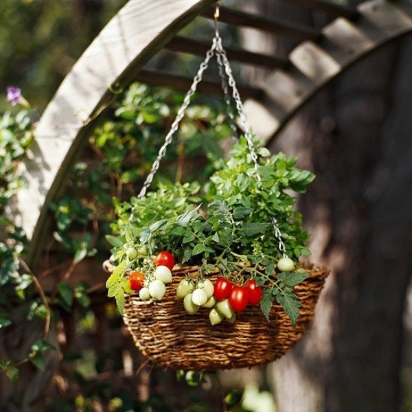 grönsaks-balkong-hem-växt-korg-hängande