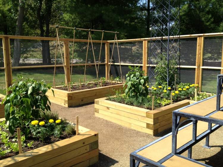Skapa en grönsaksträdgård, träbjälkhöjda sängkanter-stödmur